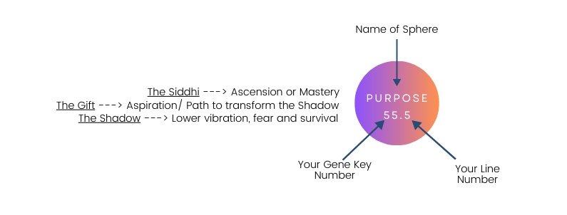 gene keys spheres
