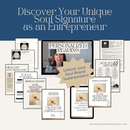 soul signature entrepreneur blueprint 