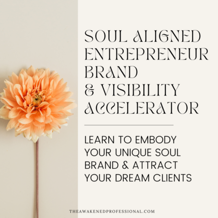 soul aligned entrepreneur